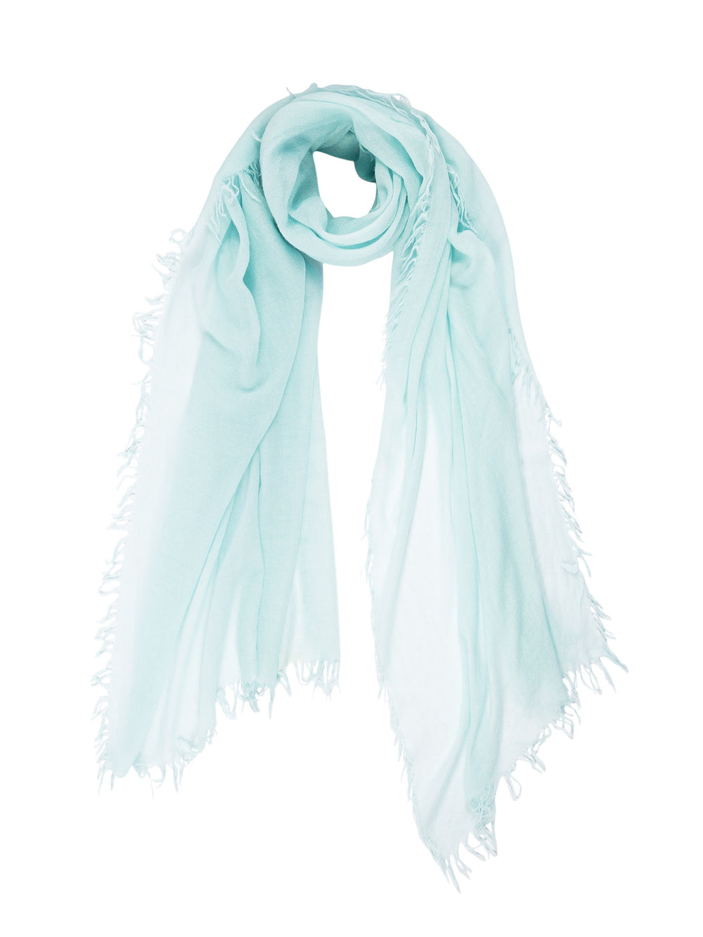 Bird egg blue
